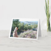 Hond op Bergportret Kaart (Voorkant)