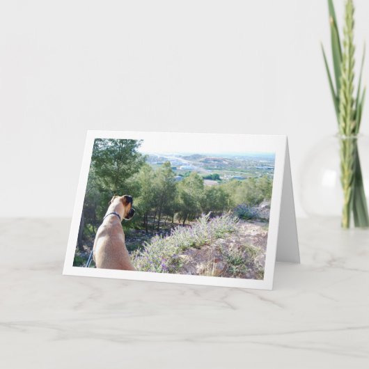 Hond op Bergportret Kaart (Voorkant)