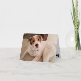 Hond op blanco briefkaart met pootafdrukken