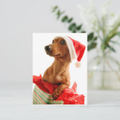 Hond op cadeau met het pet van de Kerstman Feestdagenkaart (Staand voorkant)