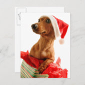 Hond op cadeau met het pet van de Kerstman Feestdagenkaart (Voorkant / Achterkant)