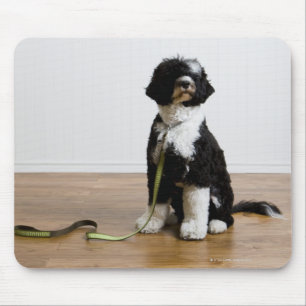 hond op de as muismat