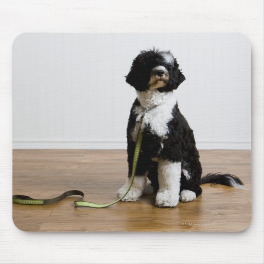 hond op de as muismat (Voorkant)