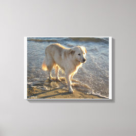 Hond op de oever canvas afdruk