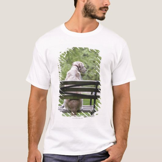 Hond op de parkeerbank t-shirt (Voorkant)