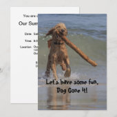 Hond op de strand kaart (Voorkant / Achterkant)