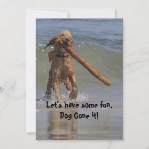 Hond op de strand kaart
