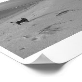 Hond op de strand poster (Hoek)