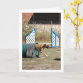 Hond op de trainingschool kaart (Gele Bloem)