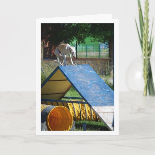 Hond op de trainingschool kaart (Voorkant)