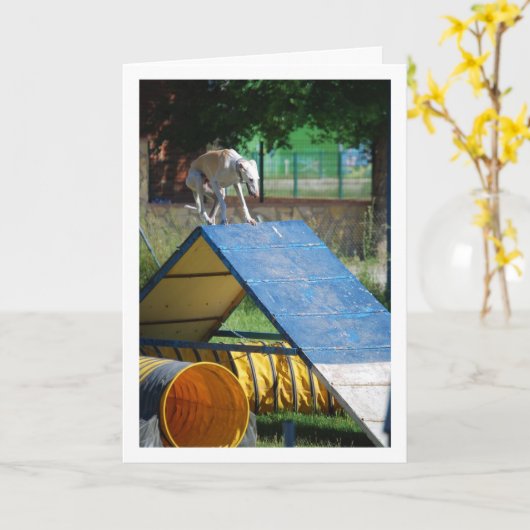 Hond op de trainingschool kaart (Gele Bloem)