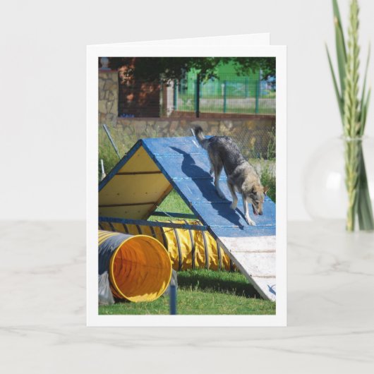 Hond op de trainingschool kaart (Voorkant)