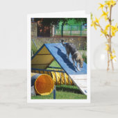 Hond op de trainingschool kaart (Gele Bloem)