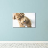 Hond op de vloer canvas afdruk (Insitu (Houten vloer))
