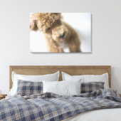 Hond op de vloer canvas afdruk (Insitu (Slaapkamer))