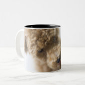 Hond op de vloer tweekleurige koffiemok (Voorkant links)