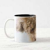 Hond op de vloer tweekleurige koffiemok (Links)