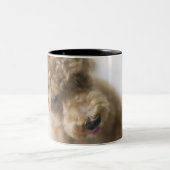 Hond op de vloer tweekleurige koffiemok (Center)