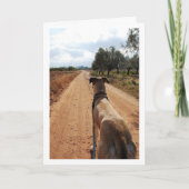 Hond op Dusty Road Kaart (Voorkant)
