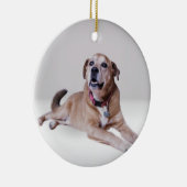 Hond op een ornament (Rechts)