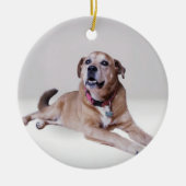 Hond op een ornament (Voorkant)