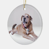 Hond op een ornament (Links)