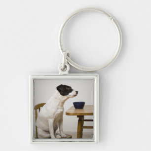 Hond op een stoel voor een kom op de sleutelhanger