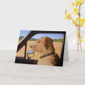 Hond op Go Kaart (Gele Bloem)