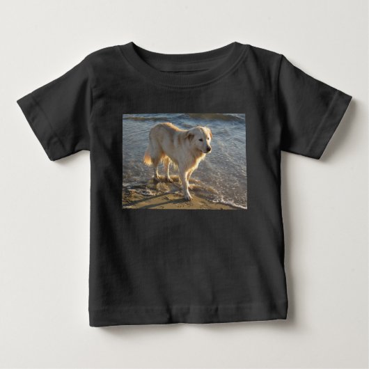 Hond op het strand (Voorkant)