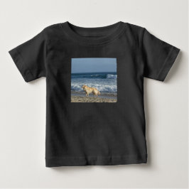 Hond Op Het Strand