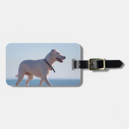 Hond op het strand bagagelabel