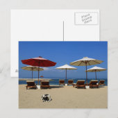 Hond op het strand briefkaart (Voorkant / Achterkant)