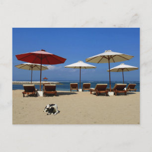 Hond op het strand briefkaart