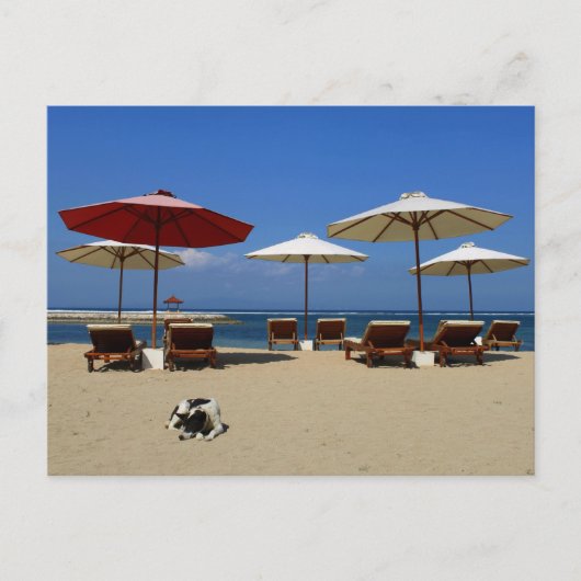 Hond op het strand briefkaart (Voorkant)