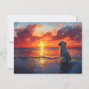 Hond op het strand die naar de zonsondergang kijkt briefkaart