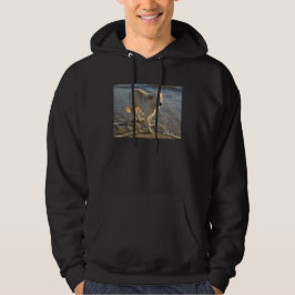 Hond Op Het Strand Hoodie