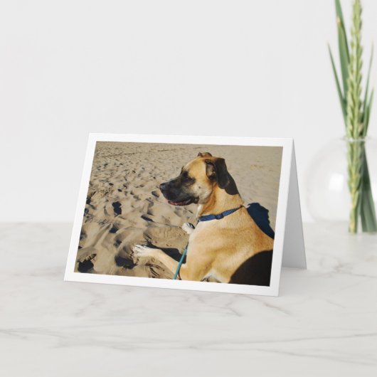 Hond op het strand kaart (Voorkant)