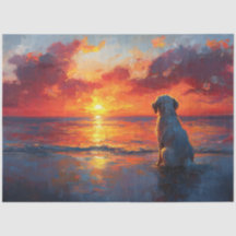 Hond op het strand kijken naar de zonsondergang De