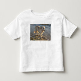Hond op het strand kinder shirts