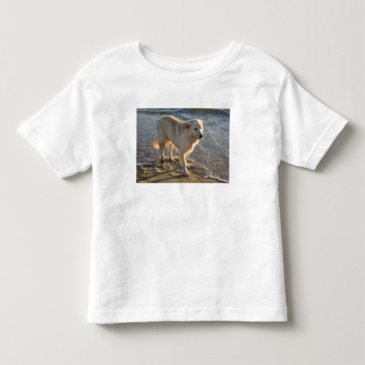 Hond op het strand kinder shirts (Voorkant)