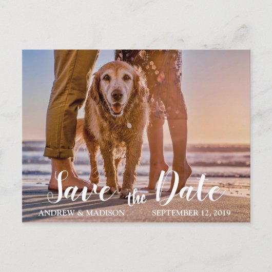 Hond op het strand met Paar Save the Date Aankondigingskaart (Voorkant)
