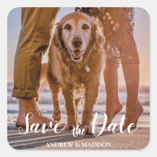 Hond op het strand met Paar Save the Date Vierkante Sticker