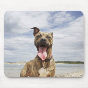 hond op het strand muismat