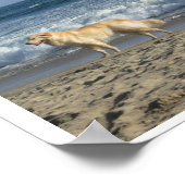 Hond Op Het Strand Poster (Hoek)