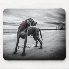 Hond op het strand Zwart & Wit foto met rode halsb Muismat