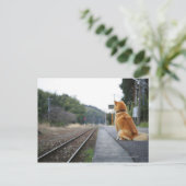 Hond op het treinstation briefkaart (Staand voorkant)