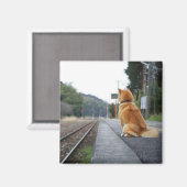 Hond op het treinstation magneet (Voorkant / Achterkant)