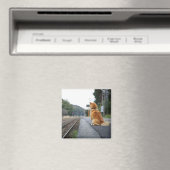 Hond op het treinstation magneet (Insitu (Vaatwasser))