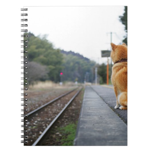 Hond op het treinstation notitieboek (Voorkant)