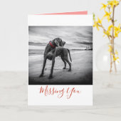 Hond op Kaart van de Kraag van de Foto w/Red van (Gele Bloem)